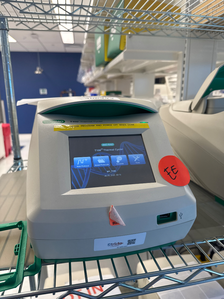 Image of Bio-Rad T100 Thermal Cycler